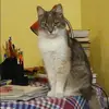 Отзыв от Наиля Шишкина
